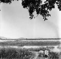 "Macau" Landscape shot.