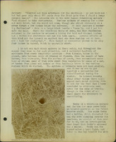 Frank Shoemaker, Narratives, Thomas County, July 3-11, July 27-30, 1911