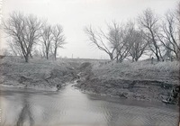 Salt Creek north of Havelock, small tributary, eroded banks. May 2, 1920