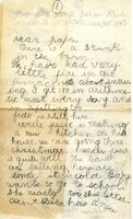 Handwritten 2 page letter from Helen Bruner to Lawrence Bruner, "There is a skunk in the barn…"