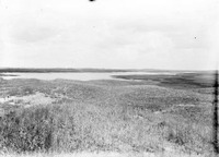 Original caption: Watt's Lake, Cherry Co., Nebr. June 7, 1903. Cherry County.