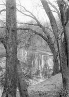 Salt Creek, Branson Grove. Dec. 6, 1916. Lancaster County. Frank H. Shoemaker (321301-A0815)