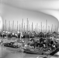 "Macau" Several people are in boats sitting on the water.