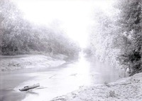 Salt Creek, 2 1/2 miles Northeast of Havelock. 1919