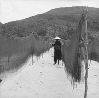 A woman holds netting as she walks down a path lined with it.