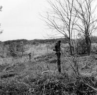 "Korea-Negs 182-3(2)-193-1(1) DMZ 2" A barbed wire fence in a grassy field. From scrapbook page 23.