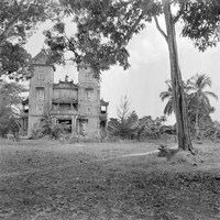 "VN Life", photo of a large bulding, probably a house, which is a mix of Western and Chinese architectural styles. There is a cow sitting in the shade of a tree in the foreground.