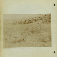 Frank Shoemaker, Narratives, Thomas County, July 3-11, July 27-30, 1911