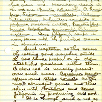 Raymond J. Pool Field Notes and Records