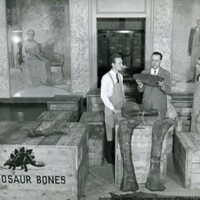 Museum director C Bertrand Schultz with museum staff. Elizabeth Dolan portraits of Charles and Harriet Morrill are in background.