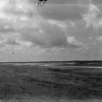 Original caption: Marsh Lake, Cherry Co., Nebr. June 5, 1903. Cherry County.