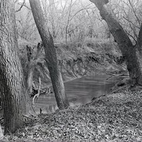 Original caption: Salt Creek near Saltillo. Oct. 1919