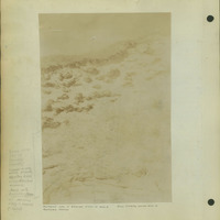 Frank Shoemaker, Narratives, Thomas County, July 3-11, July 27-30, 1911