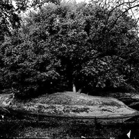 Branson, curve of creek immediately south of Wagon bridge. May 20, 1922. Lancaster County. Frank H. Shoemaker (321301-A1384)