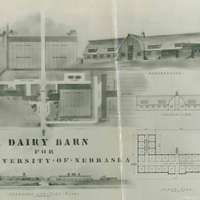 Dairy Barn (Replacement)