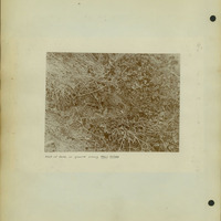 Frank Shoemaker Narratives, Sidney, Banner County, Scotts Bluff, July 30-Aug. 9, 1911