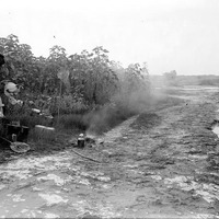 Original caption: Habitat of Cicindela togata var. apialis. Salt Basin, Lincoln. An unidentified woman seated under an umbrella. Aug. 8, 1915