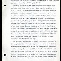 Frank H. Shoemaker typescript narrative, 29 pages,  on the bird room in Omaha home, with details on bird and insects.