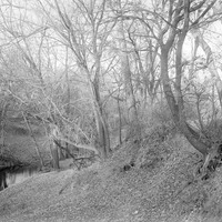 Original caption: Salt Creek SW of Pen. Southwest of penitentiary. Nov. 9, 1913
