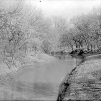 Salt Creek, Branson woods. Lancaster County. Frank H. Shoemaker (321301-A1018)