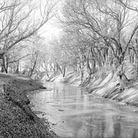 Salt Creek: Branson Woods, icebound. Nov. 13, 1920. Lancaster County. Frank H. Shoemaker (321301-A1209)