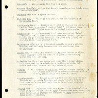 Frank H. Shoemaker typescript, 31 pages, including notes and list on CICINDELIDAE in the Carnegie Museum, Pittsburgh, PN, Nebraska, and his own collection.