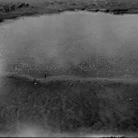 Original caption: Cicindela habitat. Saline pool near Salt Basin, Lincoln, Nebr. C. togata var. apialis and C. Circumpicta visible in picture, July 30, 1915