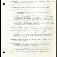 Frank H. Shoemaker typescript, 31 pages, including notes and list on CICINDELIDAE in the Carnegie Museum, Pittsburgh, PN, Nebraska, and his own collection.