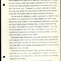 Frank H. Shoemaker typescript, 8 pages, detailing bird sightings, field trips, photography, and associated activities in Omaha, Nebraska.