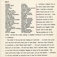 Elizabeth Van Sant transcribed letters