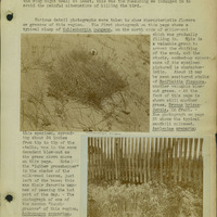 Frank Shoemaker, Narratives, Thomas County, July 3-11, July 27-30, 1911