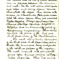 Raymond J. Pool Field Notes and Records