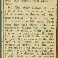 An example of an article Charles E. Bessey wrote in the Daily Nebraskan about his research at the University of Nebraska-Lincoln.