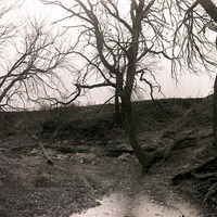 Original caption: Near Roca. Rock Strata along small tributary to Salt Creek. Dec. 1911