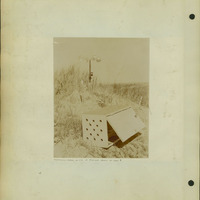 Frank Shoemaker, Narratives, Thomas County, July 3-11, July 27-30, 1911