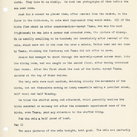 Elizabeth Van Sant transcribed letters