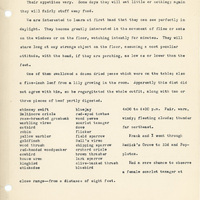 Elizabeth Van Sant transcribed letters