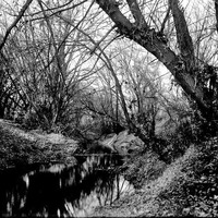 Original caption: Salt Creek SW of Pen South west of penitentiary. Nov. 9, 1918