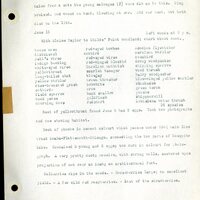 Frank H. Shoemaker typescript, 46 pages, detailing bird sightings, field trips, photography, and associated activities in Omaha, Nebraska.