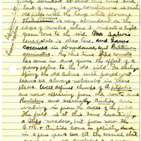 Raymond J. Pool Field Notes and Records