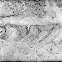 Branson Farm: stratification in sand, roadside cut on road North of Branson Farm. Nov. 13, 1920. Lancaster County. Frank H. Shoemaker (321301-A1216)