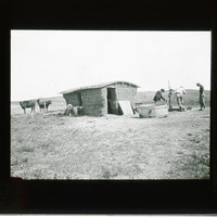 Original caption: Cherry Co. Soddy Now nearly obsolete. F.H.S. July 1911. Three men outside of small soddy, with some cattle and water basin. Cherry County. Frank H. Shoemaker (121111-00059)