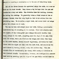 Frank H. Shoemaker typescript, 23 pages, on the bird-room in Omaha home