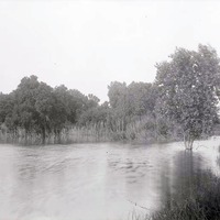 Pond 2 1/2 miles Northeast of Havelock nesting site of green heron. Lancaster County.