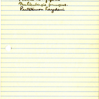 Raymond J. Pool Field Notes and Records