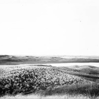 Original caption: Clear, Dewey and Whitewater Lakes, Cherry Co., Nebr. June 7, 1903. Cherry County.
