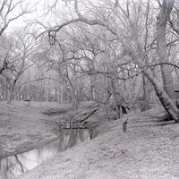 Original caption: Salt Creek near Roca. Apr. 7, 1918
