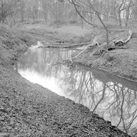 Salt Creek-Branson Woods. Lancaster County. Frank H. Shoemaker (321301-A0977)