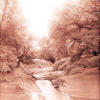 Original caption: Salt Creek junction with Steven's Creek. June 11, 1916