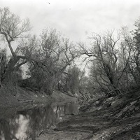 Original caption: Salt Creek northeast of Havelock. Nov. 8, 1914